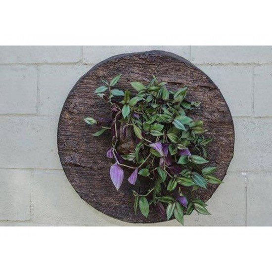 MANDALA MEDIA MADEIRA DE DEMOLIÇÃO FIBRART