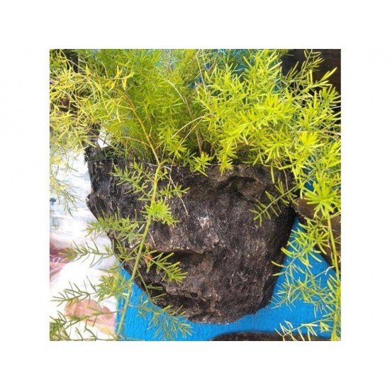 PEDRA GRANDE FIBRART