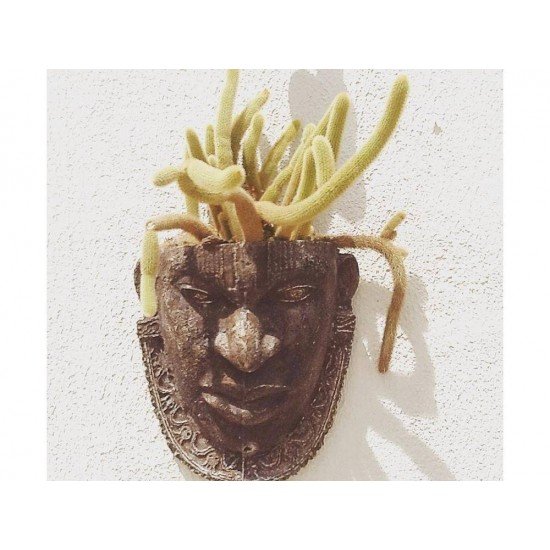 MASCARA AFRICANO M - PARA PLANTAS FIBRART