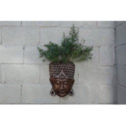 MASCARA BUDA PARA PLANTAR FIBRART