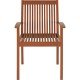 POLTRONA DE MADEIRA JATOBA FITT ECO BLINDAGE TRAMONTINA