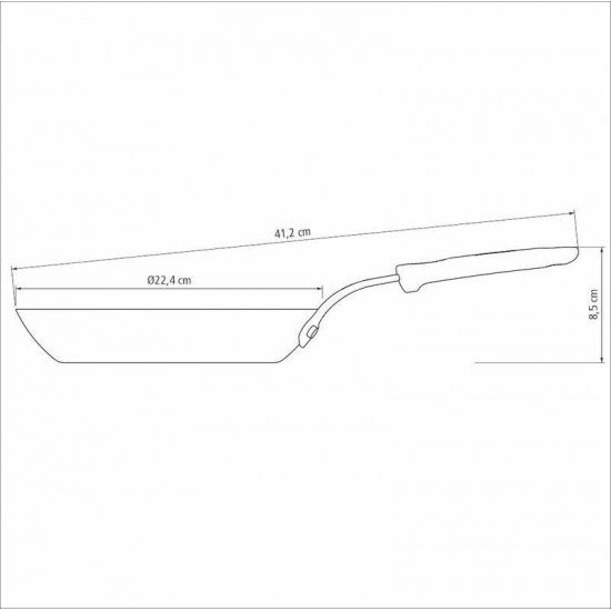 FRIGIDEIRA TRAMONTINA PROFISSIONAL EM FERRO 22 CM 1 L