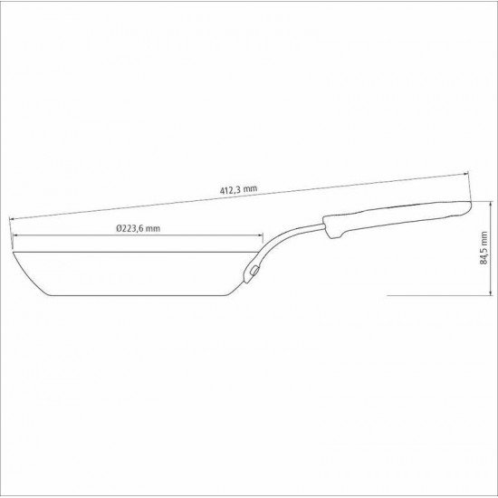 FRIGIDEIRA TRAMONTINA PROFISSIONAL EM FERRO 22 CM 1 L