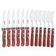 JOGO CHURRASCO 12 PEÇAS POLYWOOD VERMELHO SORTIDOS LAMINAS ACO INOX E CABOS DE MADEIRA TRAMONTINA