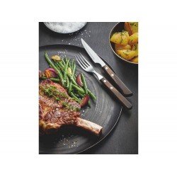 JOGO CHURRASCO 12 PEÇAS POLYWOOD CASTANHO SORTIDOS LAMINAS DE ACO INOX E CABOS DE MADEIRA TRAMONTINA