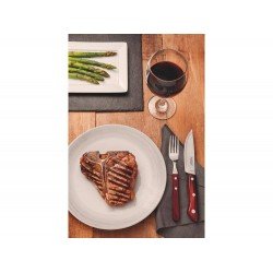 FACA PARA CHURRASCO JUMBO 5 POLYWOOD VERMELHO LAMINA DE ACO INOX E CABO DE MADEIRA TRAMONTINA