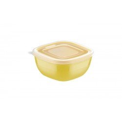 POTE 300 ML TRAMONTINA