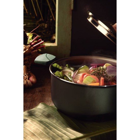 CAÇAROLA TRAMONTINA LYF EM ALUMÍNIO COM REVESTIMENTO INTERNO E EXTERNO EM ANTIADERENTE STARFLON MAX VERDE NATUREZA 20 CM 2,9 L