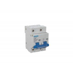 DISJUNTOR MODELO TR6KA 2 POLOS 100A CURVA C TERMOPLASTCO COMPONENTES METALICOS TRAMONTINA