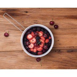 FRIGIDEIRA EM ACO INOX FUNDO TRIPLO E MARCACAO INTERNA DE CAPACIDADE 20 CM 2,1 L TRAMONTINA