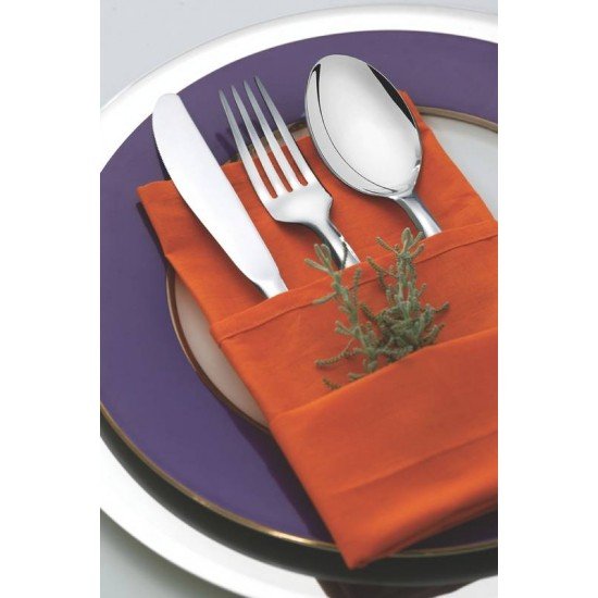 COLHER DE MESA MONACO EM ACO INOX ACABAMENTO ALTO BRILHO COM DETALHES NO CABO TRAMONTINA