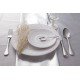 FACA DE MESA CLASSIC EM ACO INOX TRAMONTINA