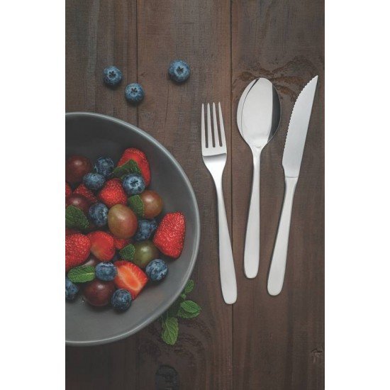 FAQUEIRO TRAMONTINA HAVAÍ EM AÇO INOX COM FACAS PARA CHURRASCO ACABAMENTO EM BRILHO 24 PEÇAS