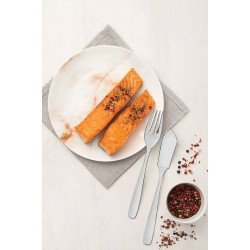 JOGO PARA PEIXE AMAZONAS EM ACO INOX 2 PECAS TRAMONTINA