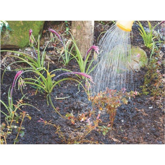 REGADOR PLASTICO PARA JARDIM 7 LITROS GRAFITE TRAMONTINA