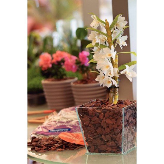 MIX ORQUIDEAS PREMIUM 1KG TRAMONTINA