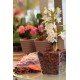MIX ORQUIDEAS PREMIUM 1KG TRAMONTINA