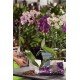 MIX ORQUIDEA PREMIUM EXP 5KG TRAMONTINA
