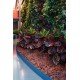 CASCA PINUS G 8KG TRAMONTINA