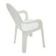 CADEIRA PLASTICA MONOBLOCO COM BRACOS INFANTIL CATTY BRANCA COM DECORACAO IN MOLD