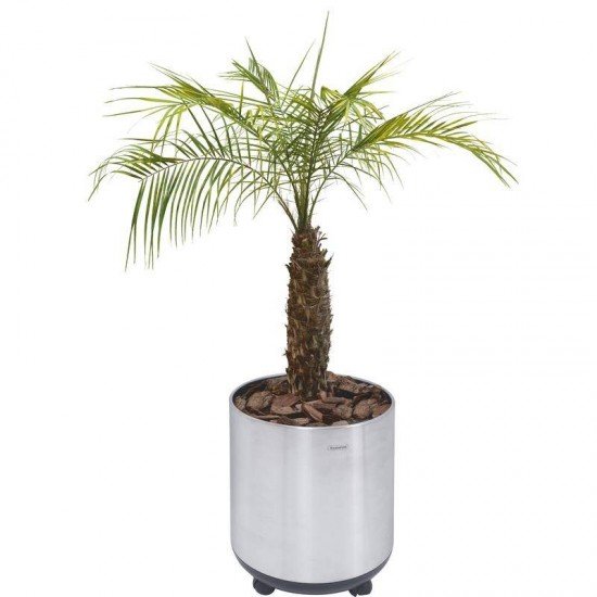 CACHEPO TRAMONTINA EM ACO INOX COM ACABAMENTO SCOTCH BRITE E RODIZIO 20KG