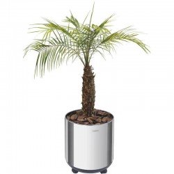 CACHEPO TRAMONTINA EM ACO INOX COM ACABAMENTO POLIDO E RODIZIO 20KG