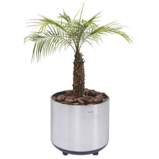 CACHEPO TRAMONTINA EM ACO INOX COM ACABAMENTO SCOTCH BRITE E RODIZIO 77KG