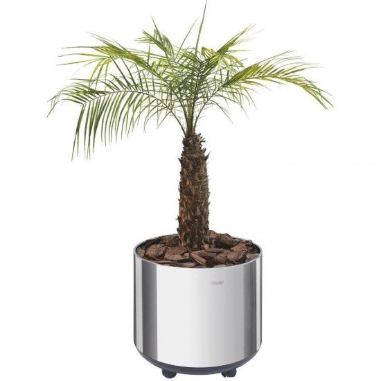 CACHEPO TRAMONTINA EM ACO INOX COM ACABAMENTO POLIDO E RODIZIO 77KG