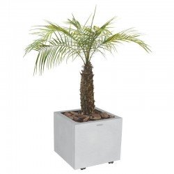 CACHEPO TRAMONTINA QUADRADO EM ACO INOX COM ACABAMENTO SCOTCH BRITE E RODIZIO 50KG